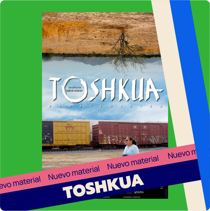 news-toshkua